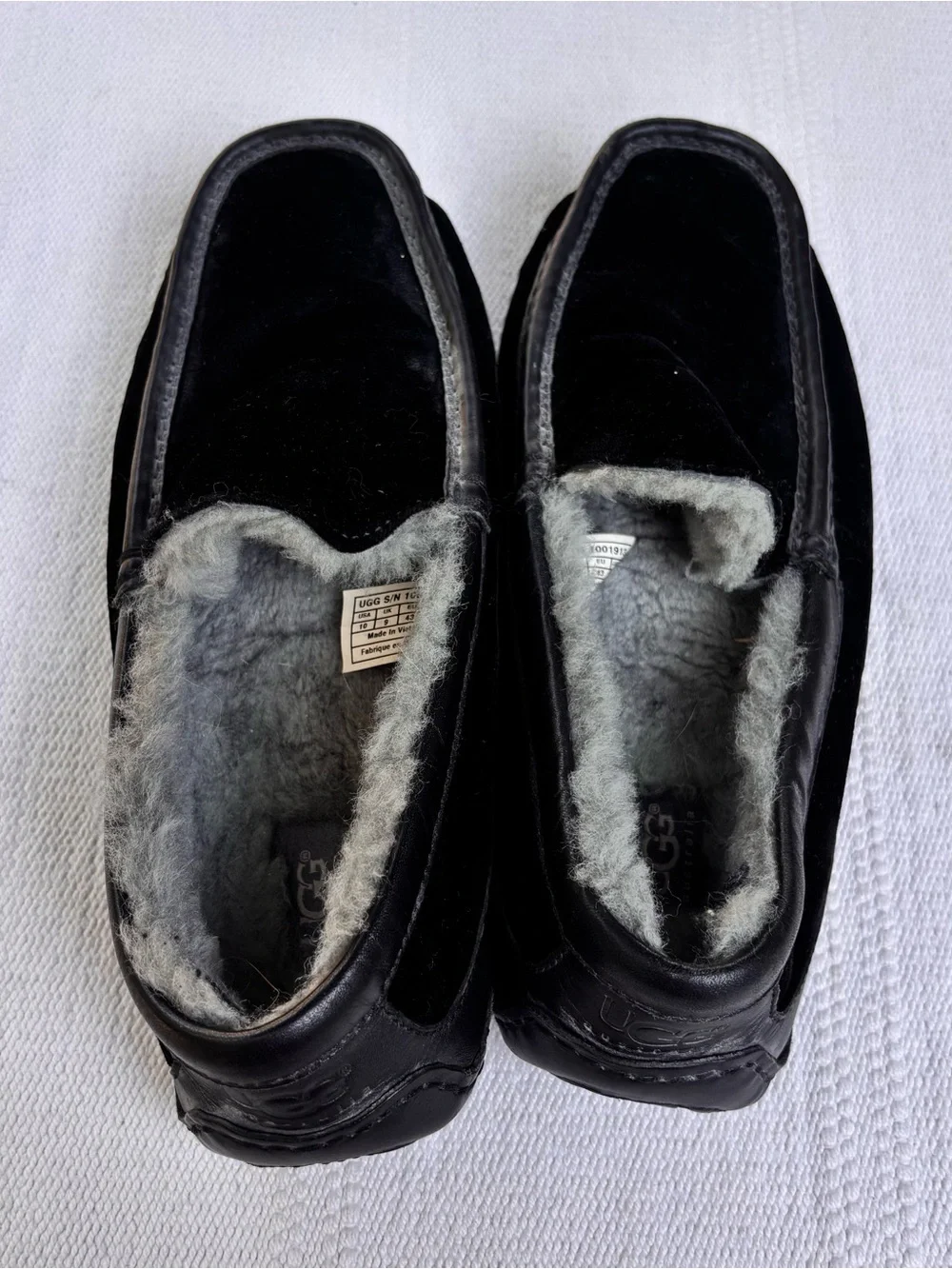 UGG men ascot